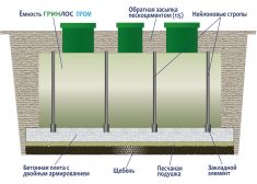 Гринлос Пром 5000